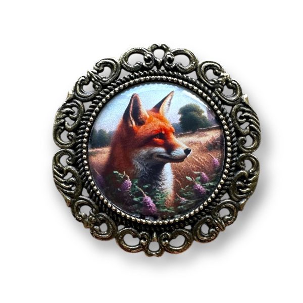 Fox in Field